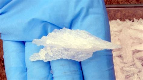 Police Drill Alleged New Zealand Drug Smuggler Bring 5kg Of Crystal