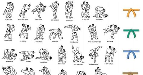 Judo Throwing Techniques And Belts Workout Gear Pinterest Judo