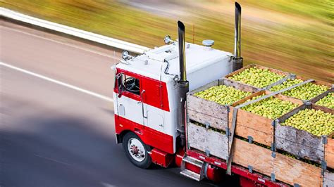 How To Transport Food Safely And Securely Motor Snippets