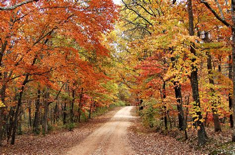 Autumn Country Road Photograph By Edward Loesch Fine Art America