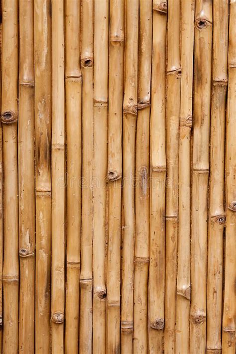 Bamboo Background Texture With Columns Of Wood Aff Background