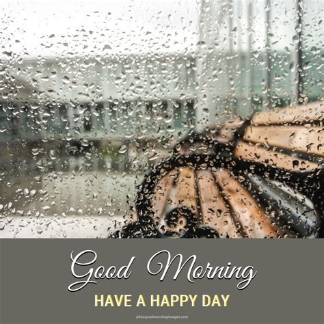 Good Morning Rainy Day Good Morning Nature Good Morning Good Night