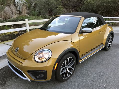 What is the Dune Edition beetle? 2