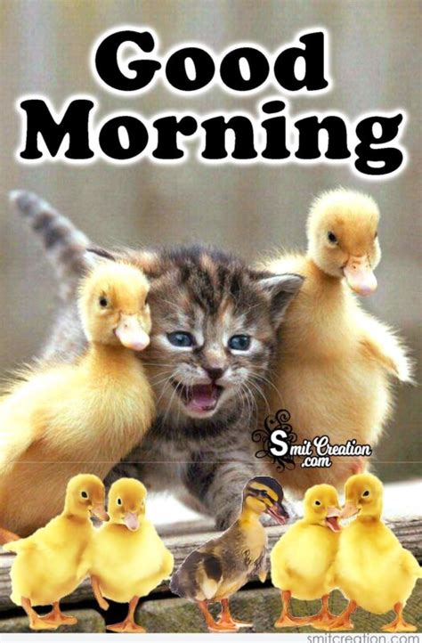 Send A Smile With Good Morning Cute Animals Images To Your Loved Ones