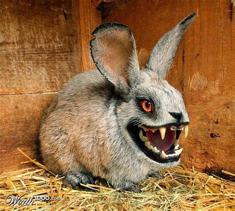 Mythopoeic Rambling Frightful Fridays Vampire Bunny