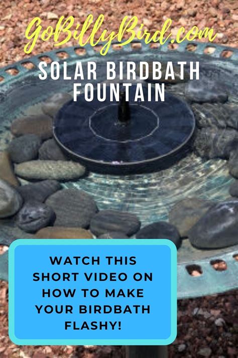 Even in the coldest months of the year, i've found that birds are eager to take baths. Make your birdbath attractive and FLASHY to birds! in 2020 ...