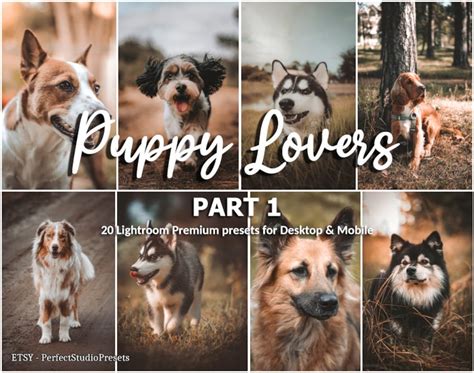 20 Lightroom Presets Puppy Lovers Part 1 Animal Preset Dog Presets