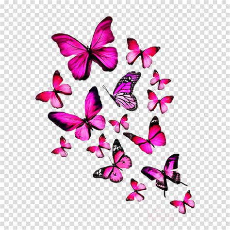Butterfly Pink And Purple Transparent Png Clip Art Image Butterfly Images