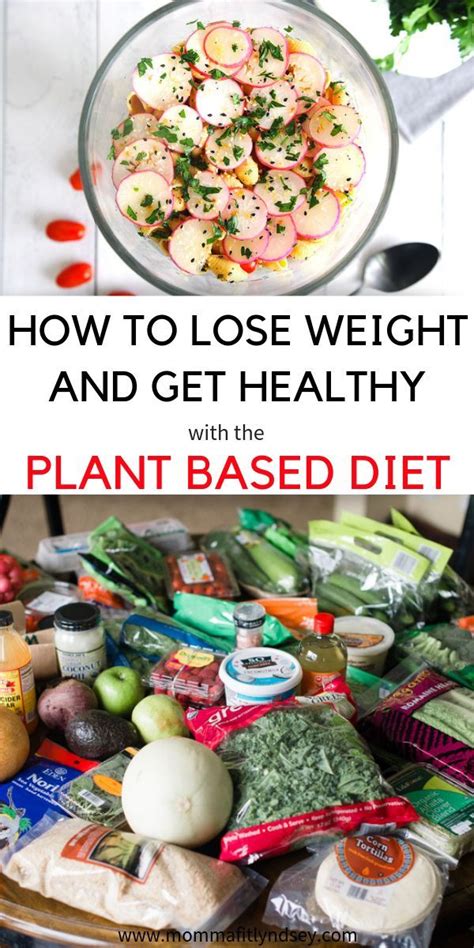 We did not find results for: Plant Based Diet on a Budget for Beginners - Momma Fit ...