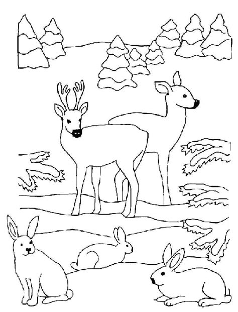 Coloring page : Does and rabbits - Coloring.me