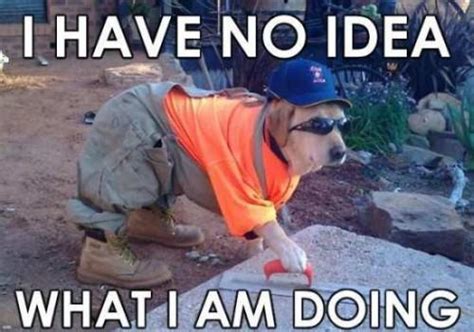 Funny Construction Quotes. QuotesGram We've rounded up the best work from home memes that.