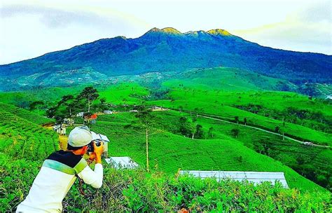 We did not find results for: Foto, Lokasi, Rute dan Harga Tiket Masuk Kebun Teh ...