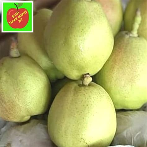 Jual Pear Xiangli Fragrant Pear Fresh 1kg Jakarta Selatan Buah Segar Manis Jkt Tokopedia