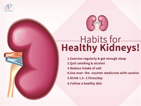20 Second Read Find Out How To Keep Your Kidneys Healthy By