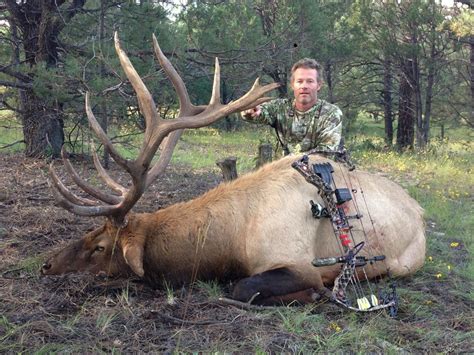 Tamilwin provides all the latest sri lankan tamil news of sri lanka and international the news includes local, regional, national and international news on sri lanka, india, world, political, business, financial, education, entertainment, cinema and sports. Elk Hunting in New Mexico