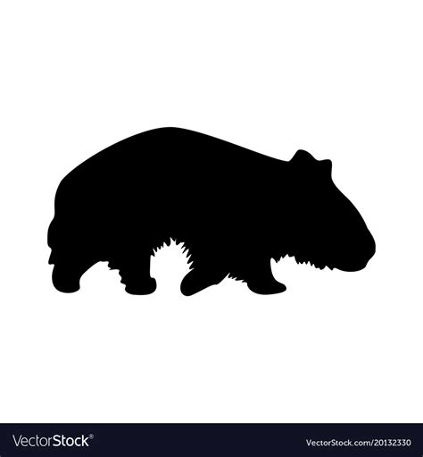 Wombat Silhouette Royalty Free Vector Image Vectorstock