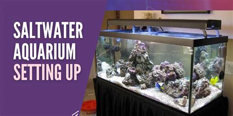 Setting Up A Saltwater Aquarium Step By Step Guide Kilasmaya