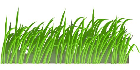 Grass Lawn Green · Free Vector Graphic On Pixabay