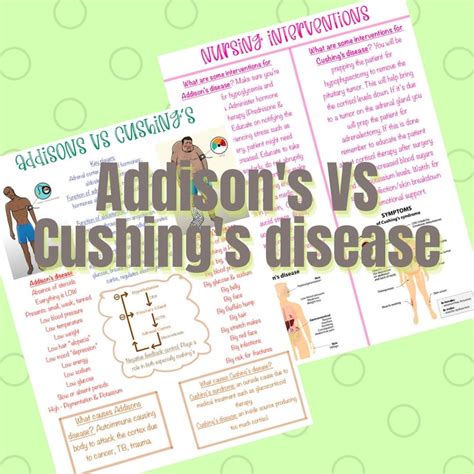 Addisons Vs Cushings Disease Nursing School Notes Etsy