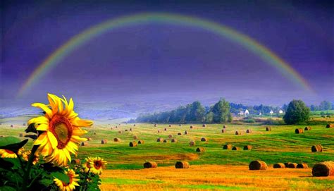 Download Rainbow Wallpapers Most Beautiful Places In The World