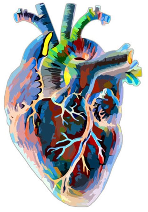 Colorful Abstract Heart Human Anatomy Digital Download Png  Etsy