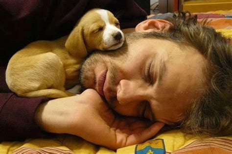 21 Touching Photos Of Relationship Between Dogs And Humans Sleeping