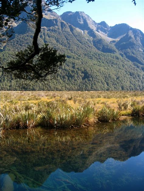 Mirror Lake Nz New Zealand Holidays Mirror Lake Natural Landmarks