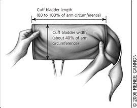 The cuff should then cover 80 percent or more of the arm. Pin on Nursing school survival