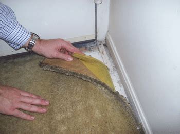 What to do about mold on the walls. Do You Have Mold? | Minneapolis Exterior Design