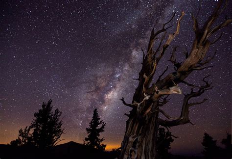 Nature Landscape Trees Hill Long Exposure Stars Night Milky Way