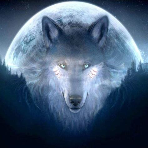 10 New Cool Wallpapers Of Wolves Full Hd 1920×1080 For Pc Desktop 2020