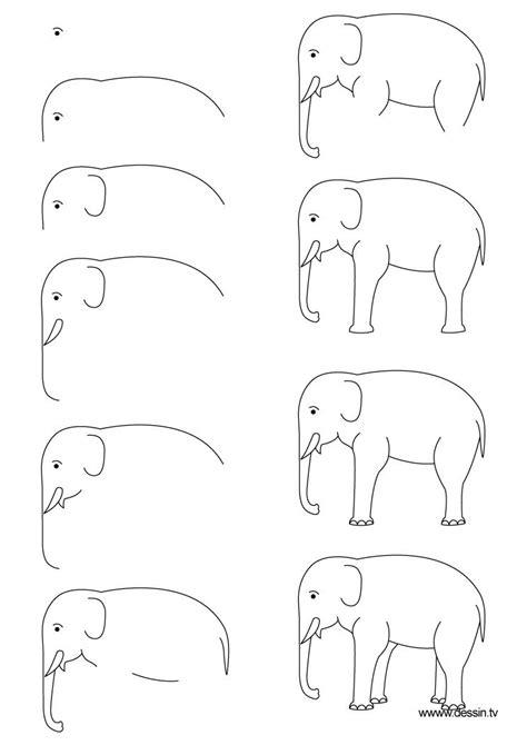 Incredible How To Draw An Elephant For Beginners 2022 Peepsburghcom