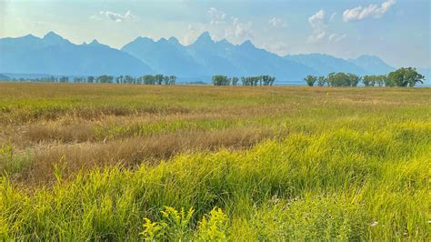 Gros Ventre Campground, a Wyoming National Park located near Jackson
