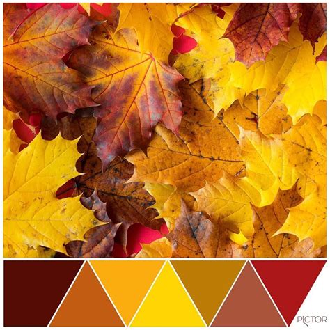 Fall Color Palette Rustic Color Palettes Fall Colors