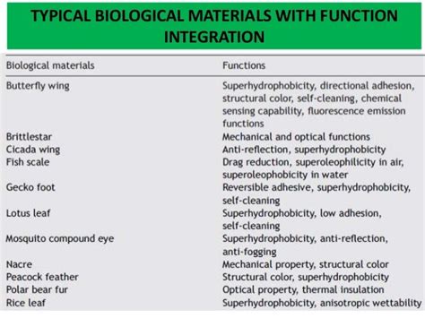Bio Inspired Materials Ppt