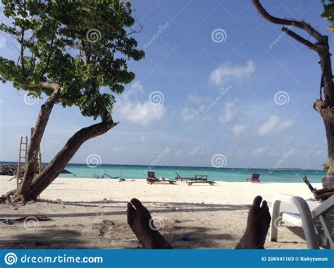 Relaxing In Sea Stock Image Image Of Ocean Beach Coast 206941103