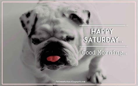 Saturday Morning Quotes And Images On Beautiful Weekend Morning Good
