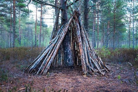 Not only does it shield you from the elements, it can also hide you from wildlife intruders and provide the psychological comfort ­needed to remain calm and in control. How to Build a Survival Shelter (Best Shelter Designs ...
