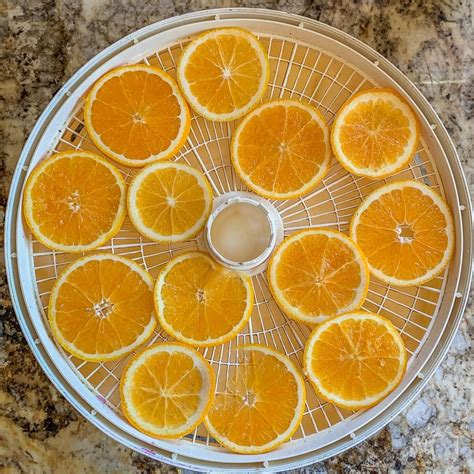 Dehydrated Oranges Dehydrator And Oven Directions 2023