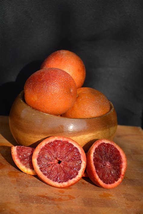 Moro Blood Orange Citrus Sinensis Moro In Lafayette Louisiana La