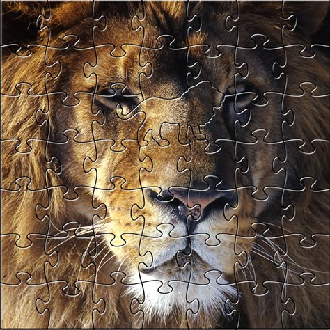 Lion Wooden Peapod Puzzle Sawbridge Studios