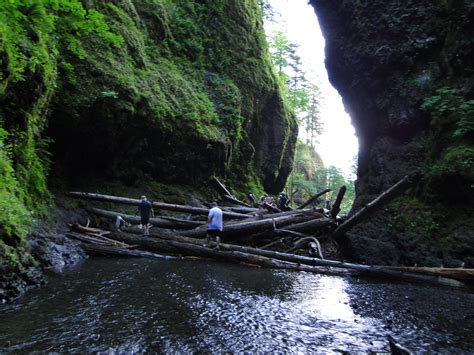 Oneonta Gorge Near Portland Is The Areas Most Unique Rock Formation