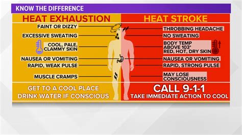 Heat Stroke Vs Heat Exhaustion Know The Warning Signs