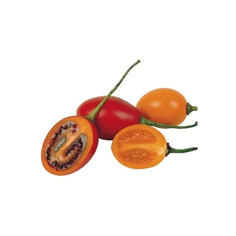 Tree Tomato Orange Tamarillo Organic Seeds