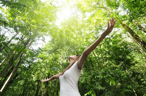 Discover The Secrets Of Forest Bathing In Japan Skyscanner Singapore