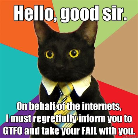 Hello Good Sir On Behalf Of The Internets Cat Meme Cat