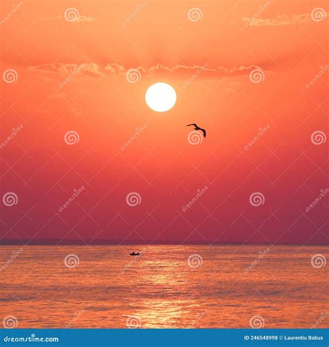 Seaside Sunrise Scenery Stock Photo Image Of Fiery 246548998