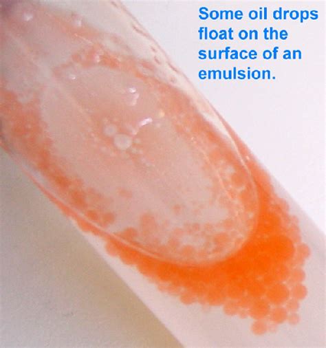 The surfactant (purple outline around particles). #32 Food test 3 - Emulsion (ethanol) test for Fats ...