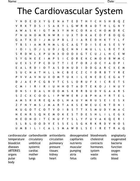 The Cardiovascular System Word Search Wordmint