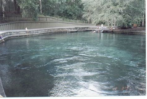 Wekiva Springs Park Snorkeling This Florida Spring Wekiwa Florida